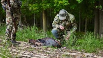 A hunter kneels next to a turkey kill, where to shoot a turkey concept.