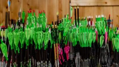 A variety of different arrows, carbon, aluminum, and wooden arrows concept.