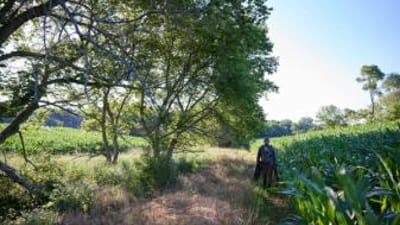 A hunter carries a tree stand for pre-season set-up, saddle hunt concept.