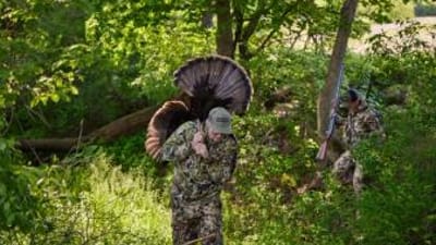A hunter brings a turkey out of the woods after a hunt, Alabama turkey season concept.