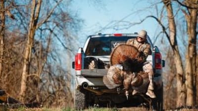 A hunter sits on a truck tailgate holding a wild turkey after a hunt, turkey species concept.