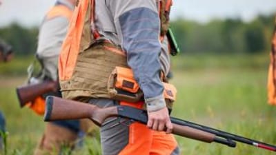 Hunter holds shotgun for pheasant hunt, shotgun for pheasant hunting concept.