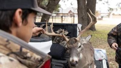 A hunter holds up the antlers of a buck in the back of a truck, best deer hunting states concept.