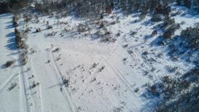 Overhead view of snowy ground and trees, best places to hunt rabbits concept.