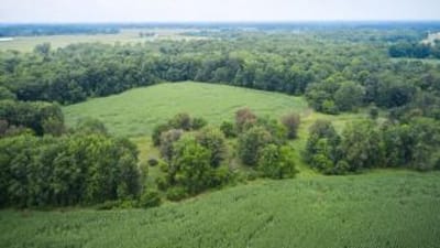 Overhead view of green farmland and trees, how to find property lines in Michigan concept. 