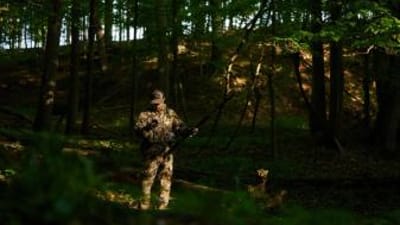 A hunter in the woods looking at a phone, how to find public hunting land near me concept.