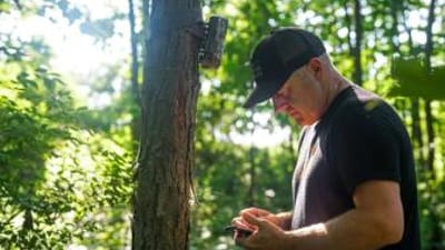 Jeff Sturgis checking trail cameras, whitetail habitat concept.