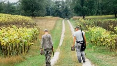 Two hunters carrying doves after a hunt, when is dove season in South Carolina concept.
