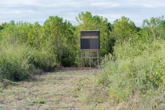 A DIY hunting blind in the woods, how to build a ground blind concept.