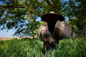 A turkey being held up by a hunter after a hunt, Indiana turkey season concept.