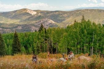 A hunter overlooks trees in a valley and mountains, how does hunting support conservation efforts concept.