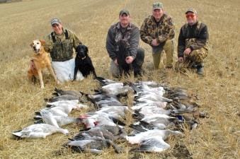 Group of hunters with snow goose harvest, Missouri snow goose hunting concept.
