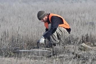 A hunter sets an animal trap in a field.