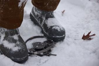 Person setting trap in snow with boots, Michigan trapping season concept.