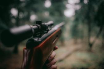 A rifle pointing into the woods, choosing hunting rifles concept.