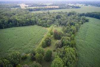 Overhead view of green parcels of land, how to find property lines in Arkansas concept. 