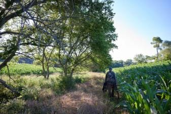 A hunter carries gear into the field for a deer hunt.