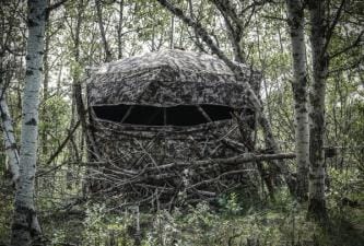 A ground blind hidden in some trees.