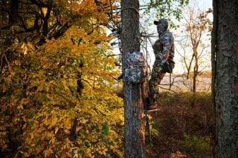 Hunter sits in a tree saddle for a hunt.