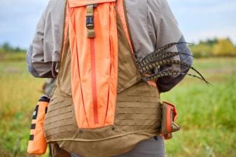 Back view of a bird in a hunter's orange pack, hunting pheasants in different weather concept.