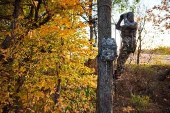 Hunter using binoculars in a tree stand, how to hang tree stand for bowhunting concept.