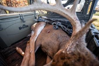Buck deer in back of ATV showing the shot, deer shot placement concept.