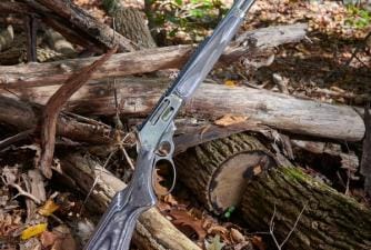 A lever action rifle sits upright against a log.