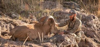 Hunter smiles with bighorn sheep after hunt, surplus hunting tags concept.