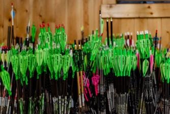 A variety of different arrows, carbon, aluminum, and wooden arrows concept.