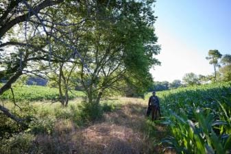A hunter carries a tree stand for pre-season set-up, saddle hunt concept.