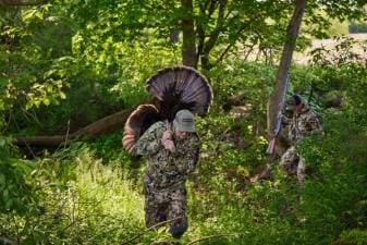 A hunter brings a turkey out of the woods after a hunt, Alabama turkey season concept.