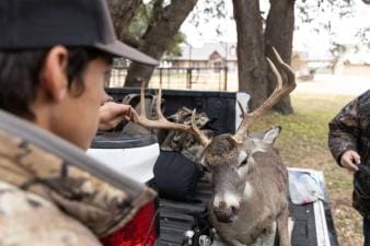 A hunter holds up the antlers of a buck in the back of a truck, best deer hunting states concept.