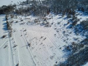 Overhead view of snowy ground and trees, best places to hunt rabbits concept.