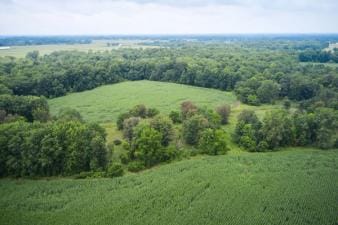 Aerial view of lush land, how to find property lines in Illinois concept. 