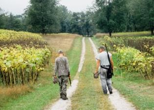 Two hunters carrying doves after a hunt, when is dove season in South Carolina concept.
