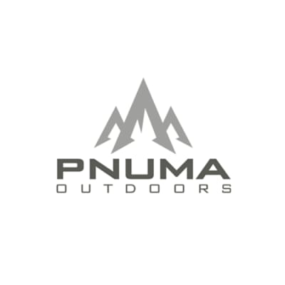 pnuma-500px.png