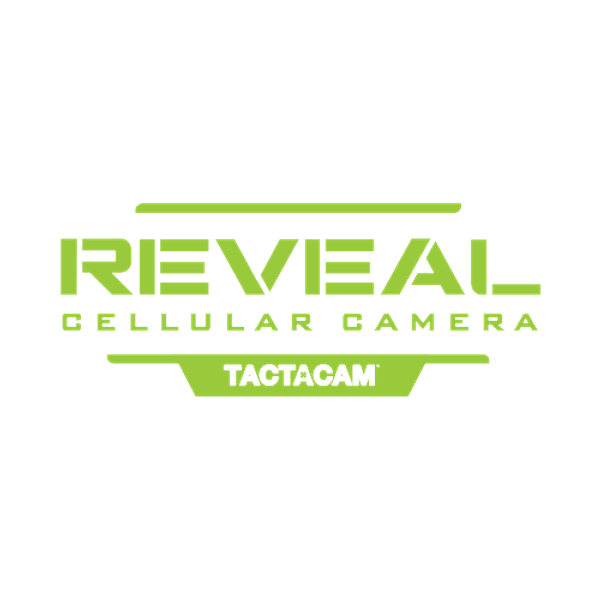 Reveal